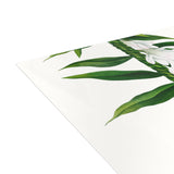 Blank Ti Leaf + Tuberose Lei Greeting Card