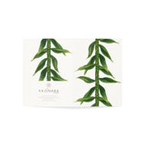 Ti Leaf Lei Greeting Cards