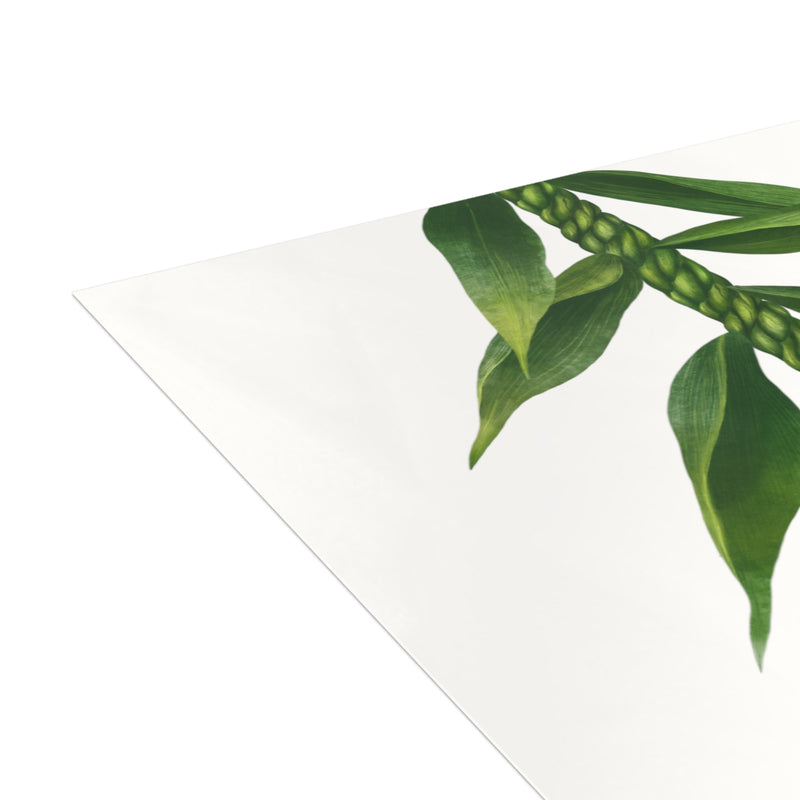 Ti Leaf Lei Greeting Cards