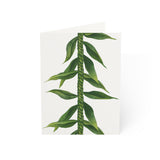 Ti Leaf Lei Greeting Cards