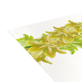 Blank Pakalana Twist Lei Greeting Card