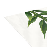 Ti Leaf Lei Greeting Cards